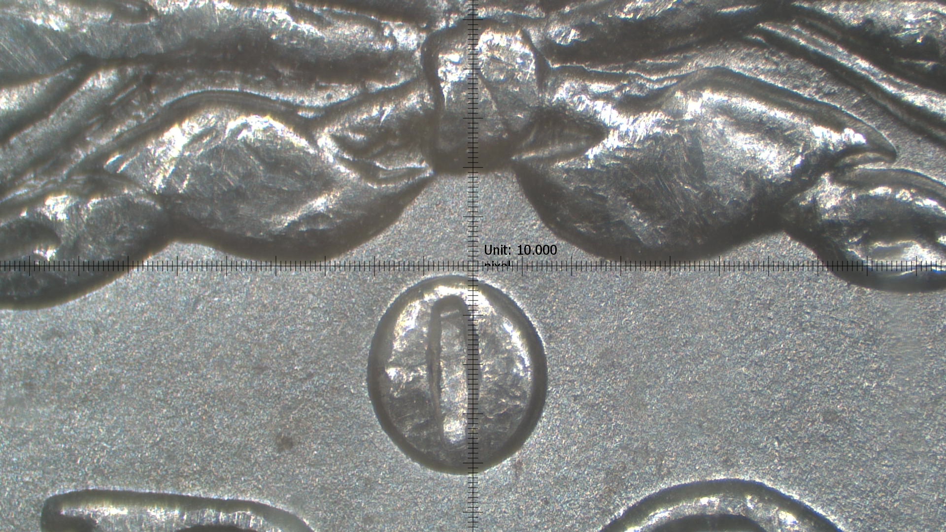 Image 21