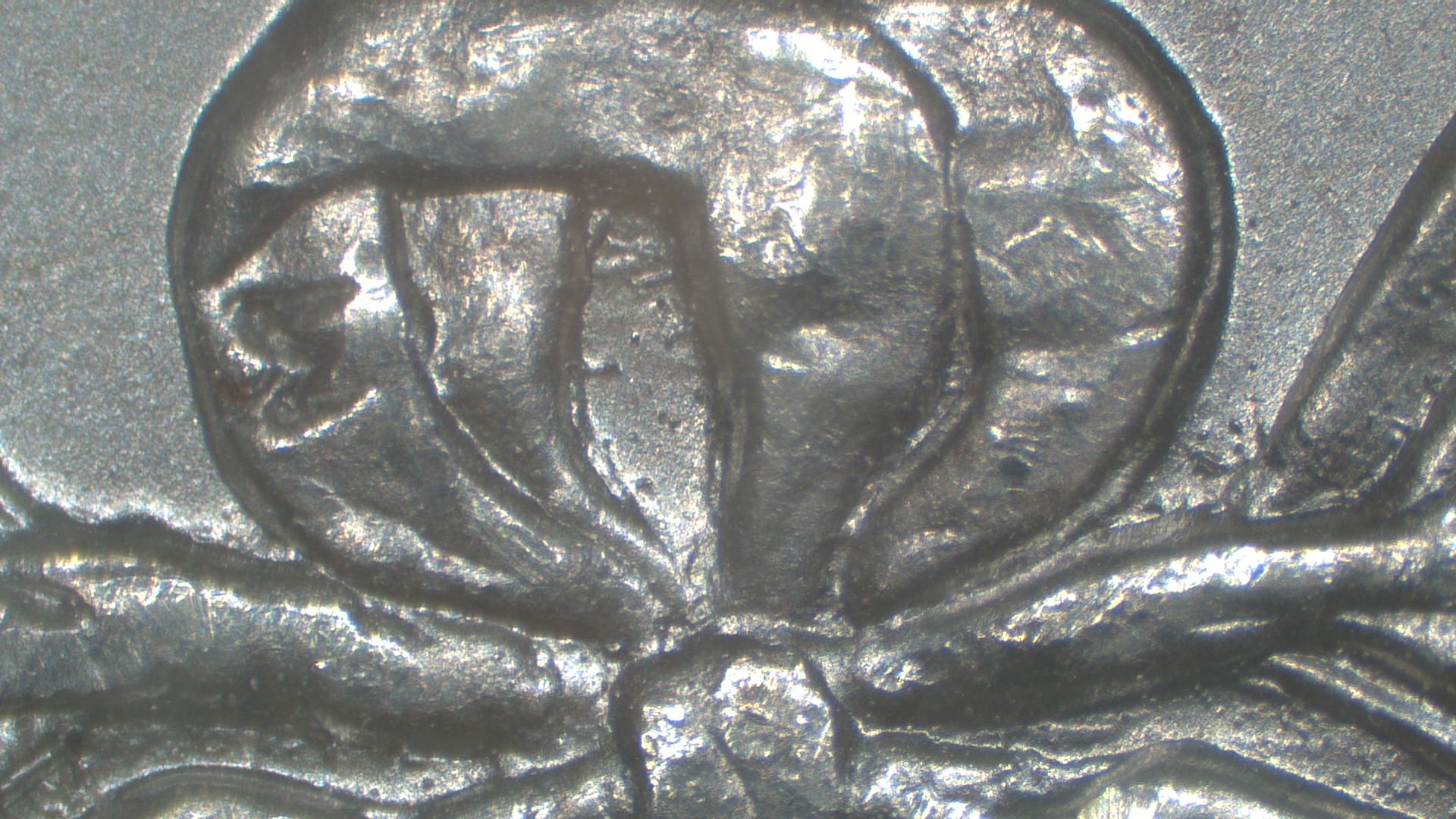 Image 16