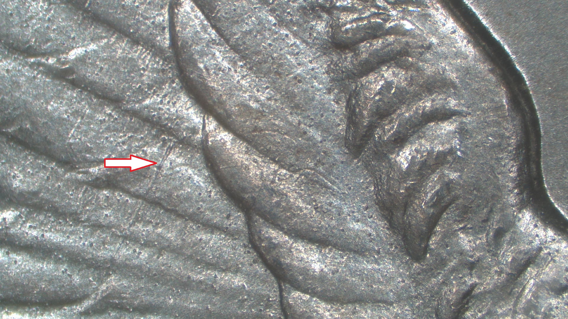 Image 18