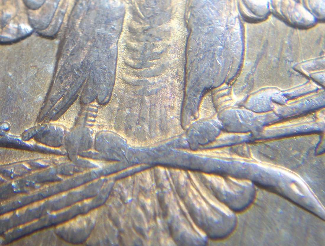 Image 17