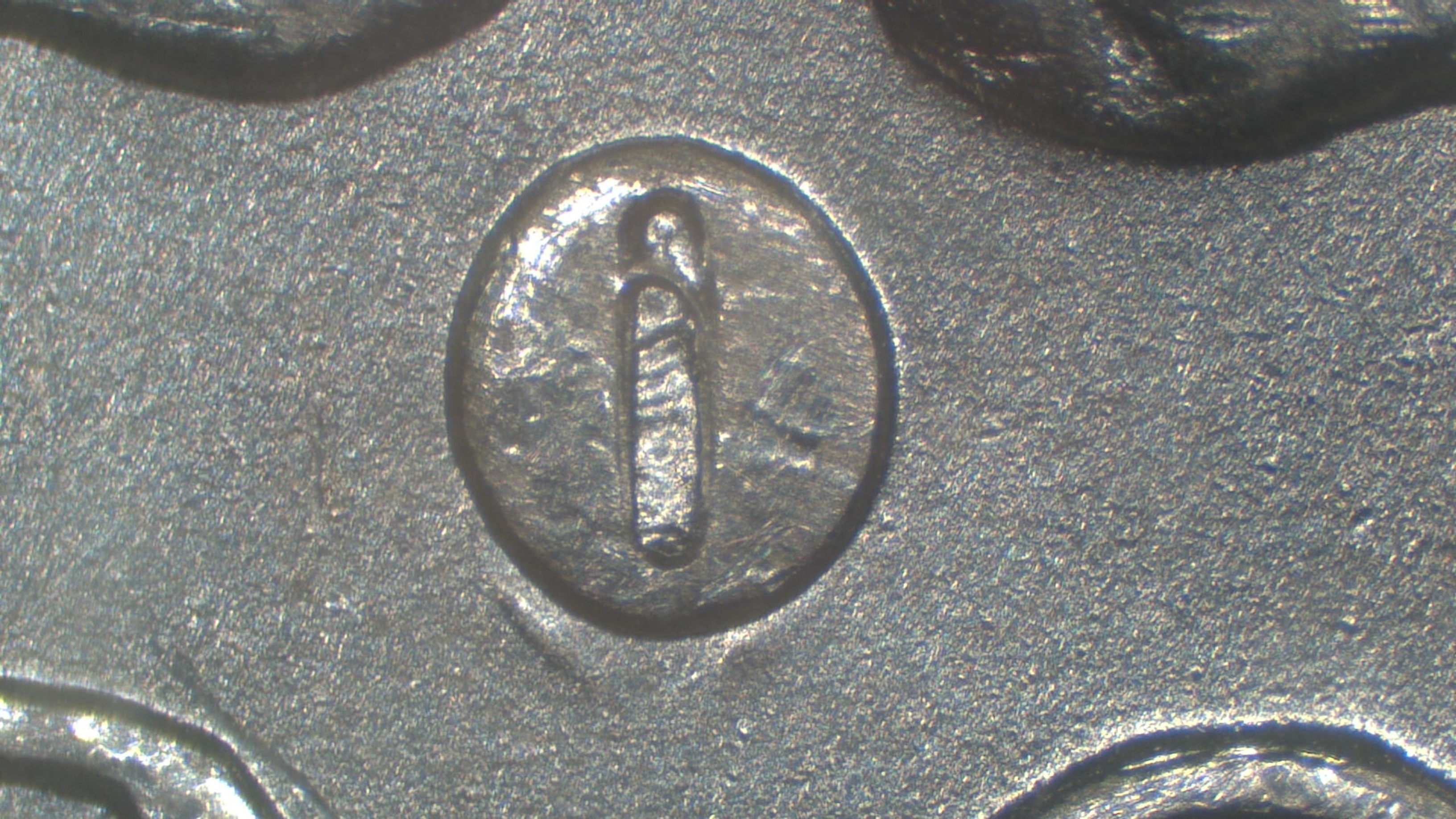 Image 13
