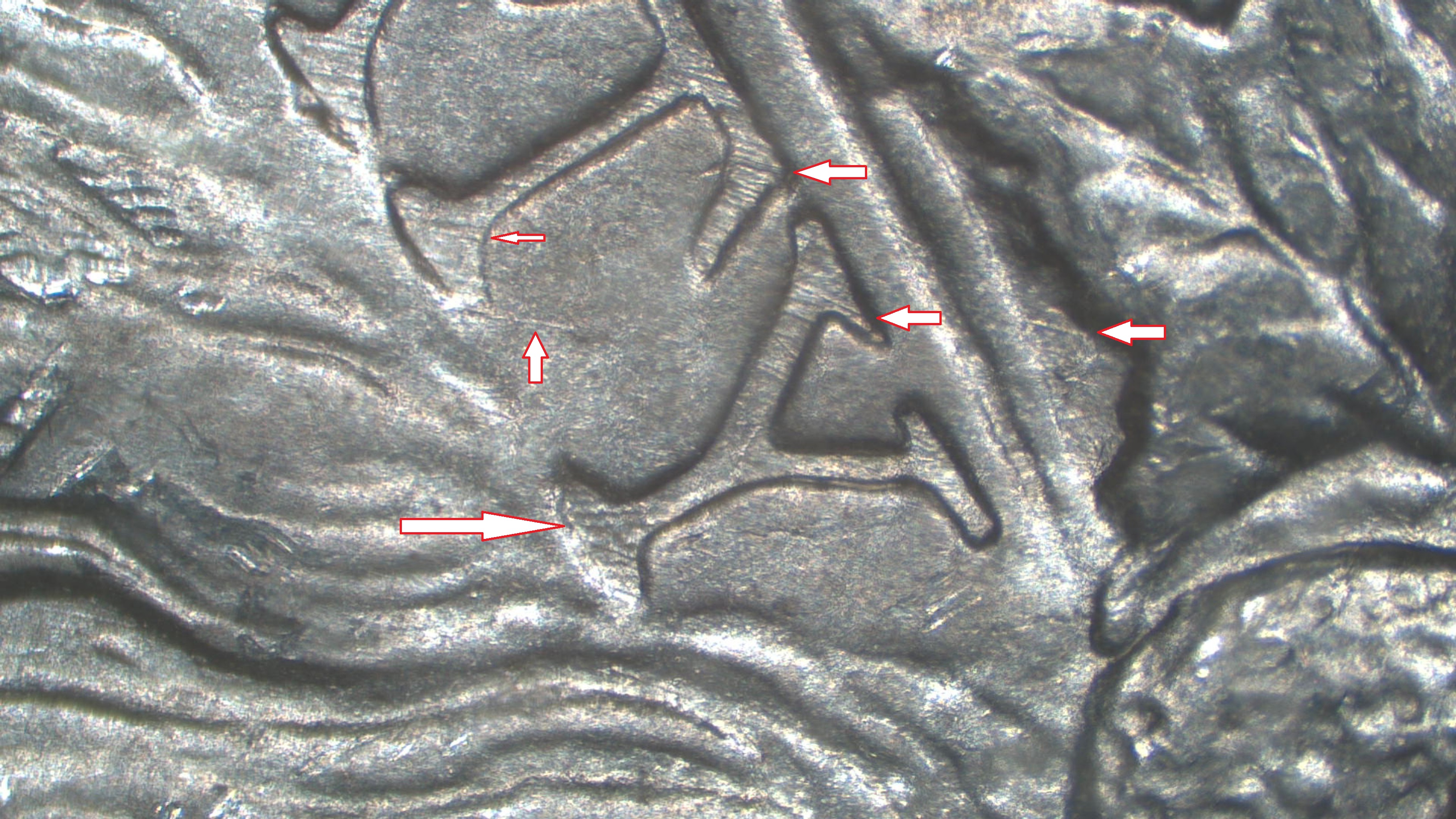 Image 14
