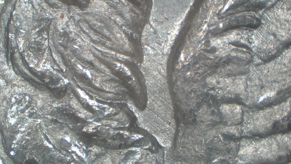 Image 16