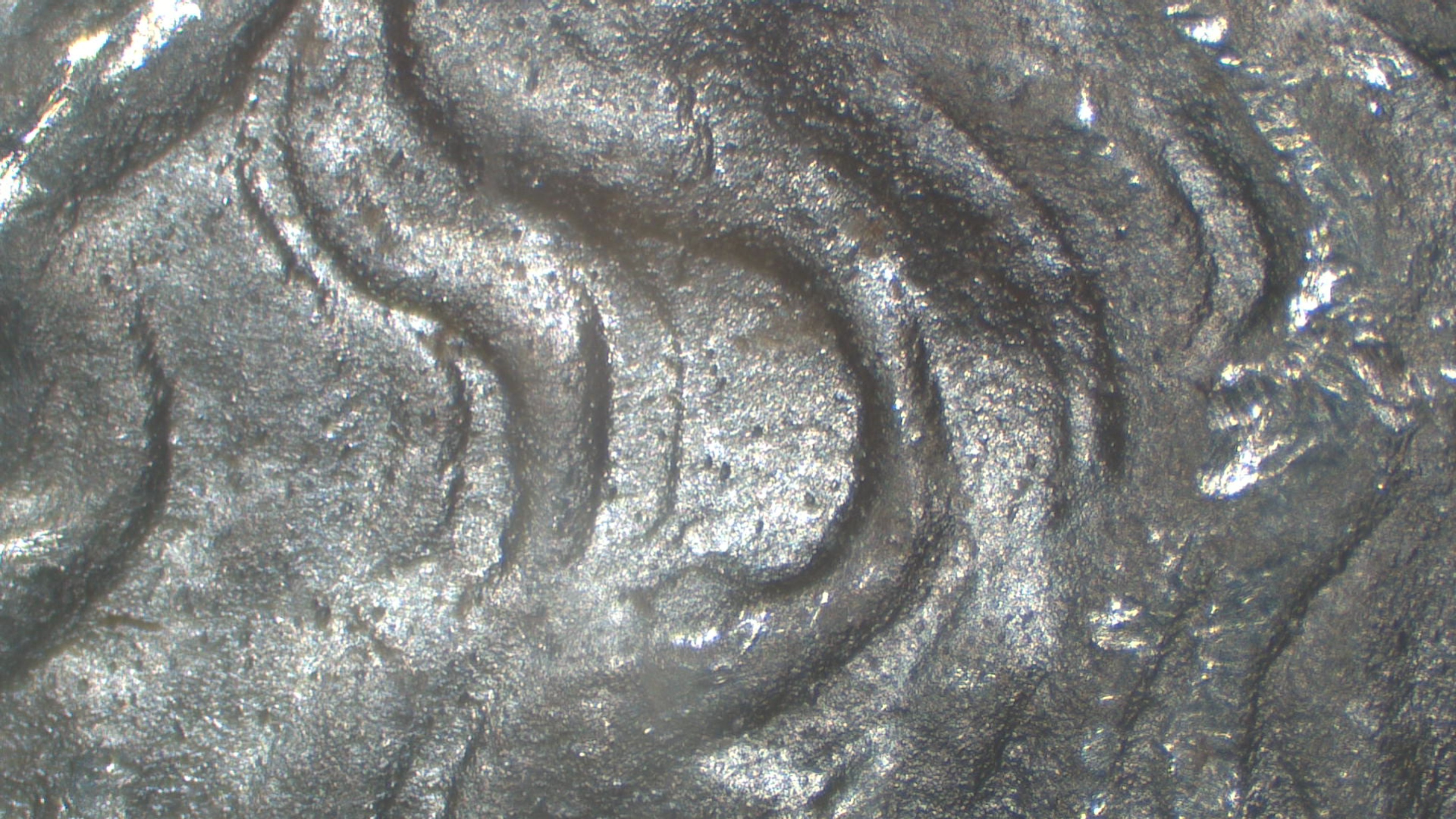 Image 13