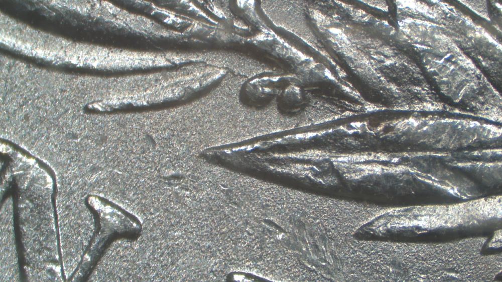Image 20