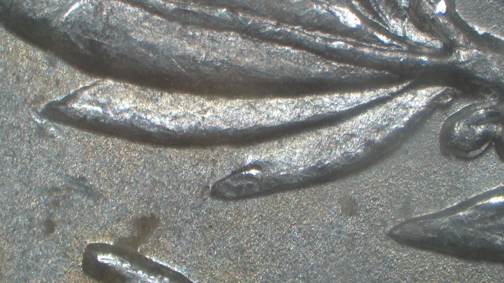 Image 24