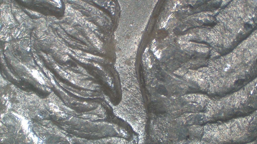 Image 17