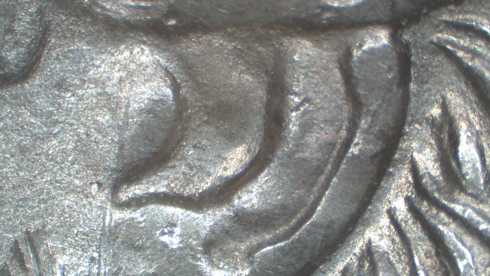 Image 20
