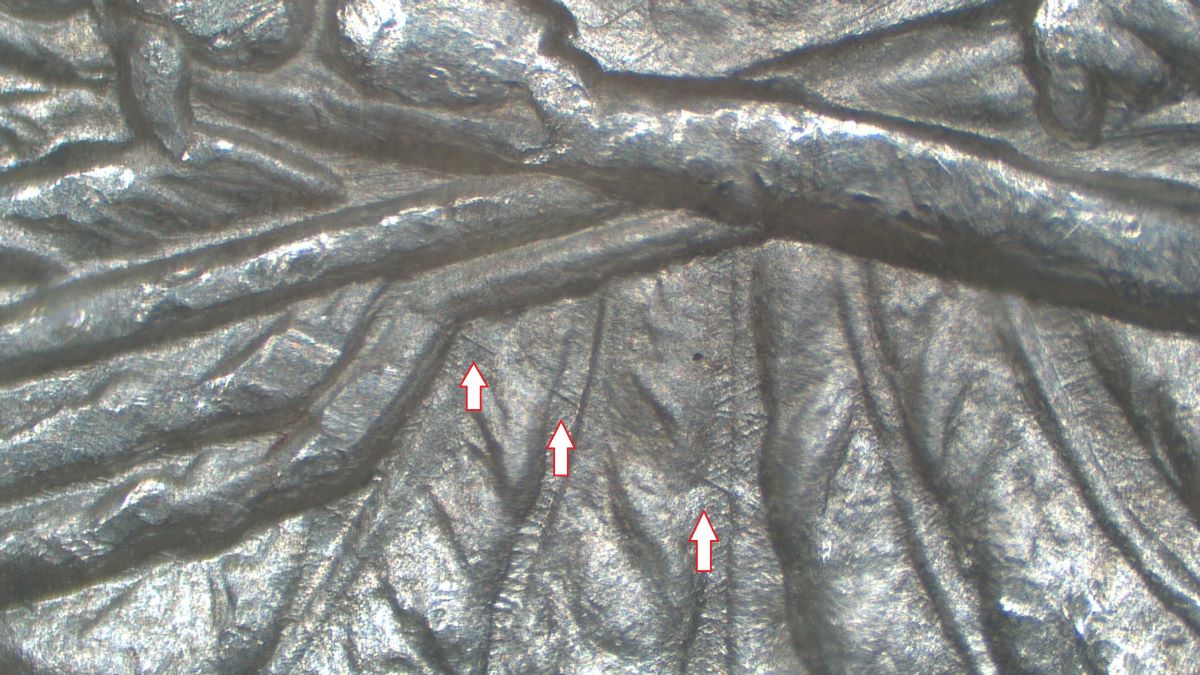 Image 10