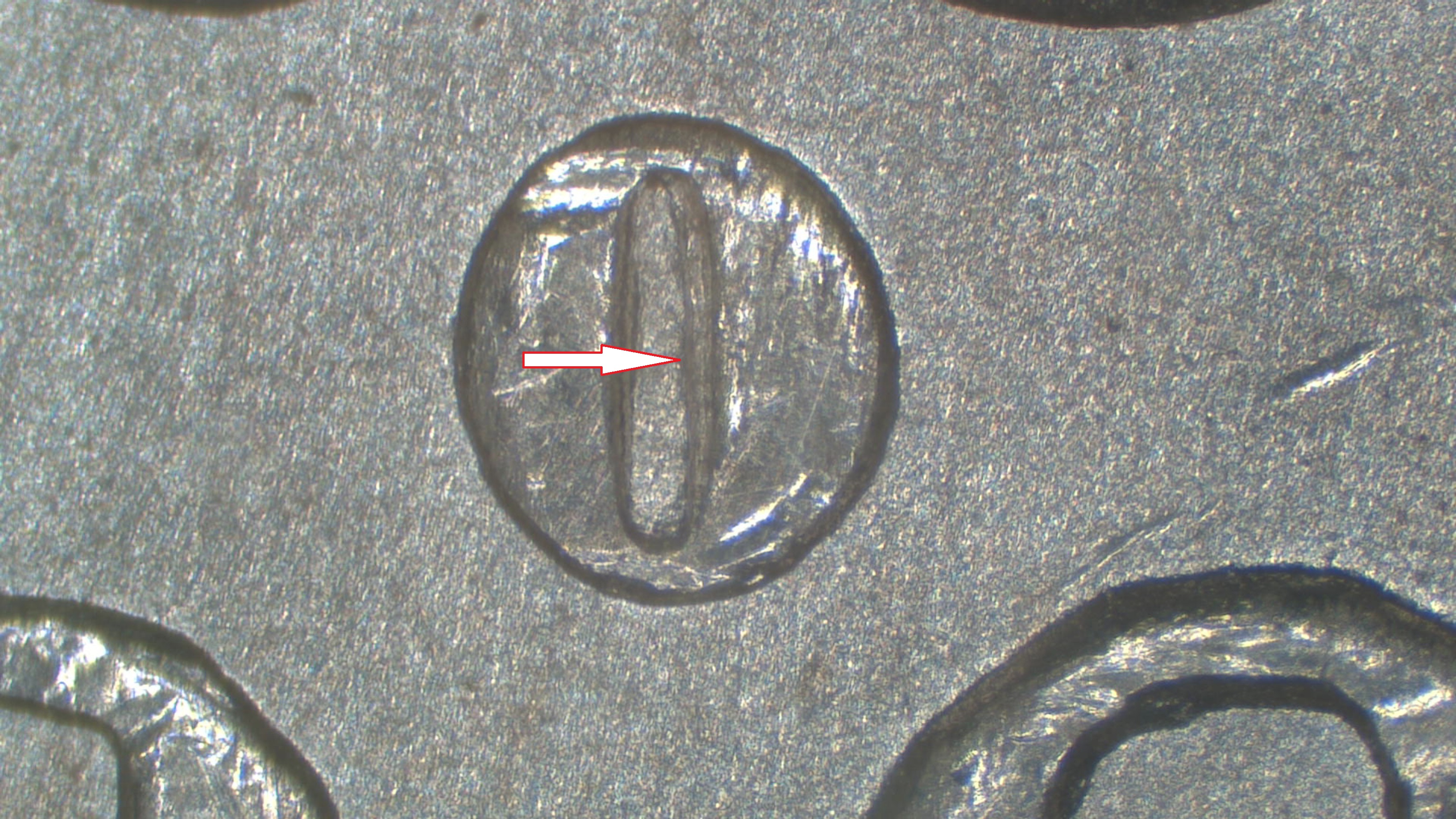 Image 15