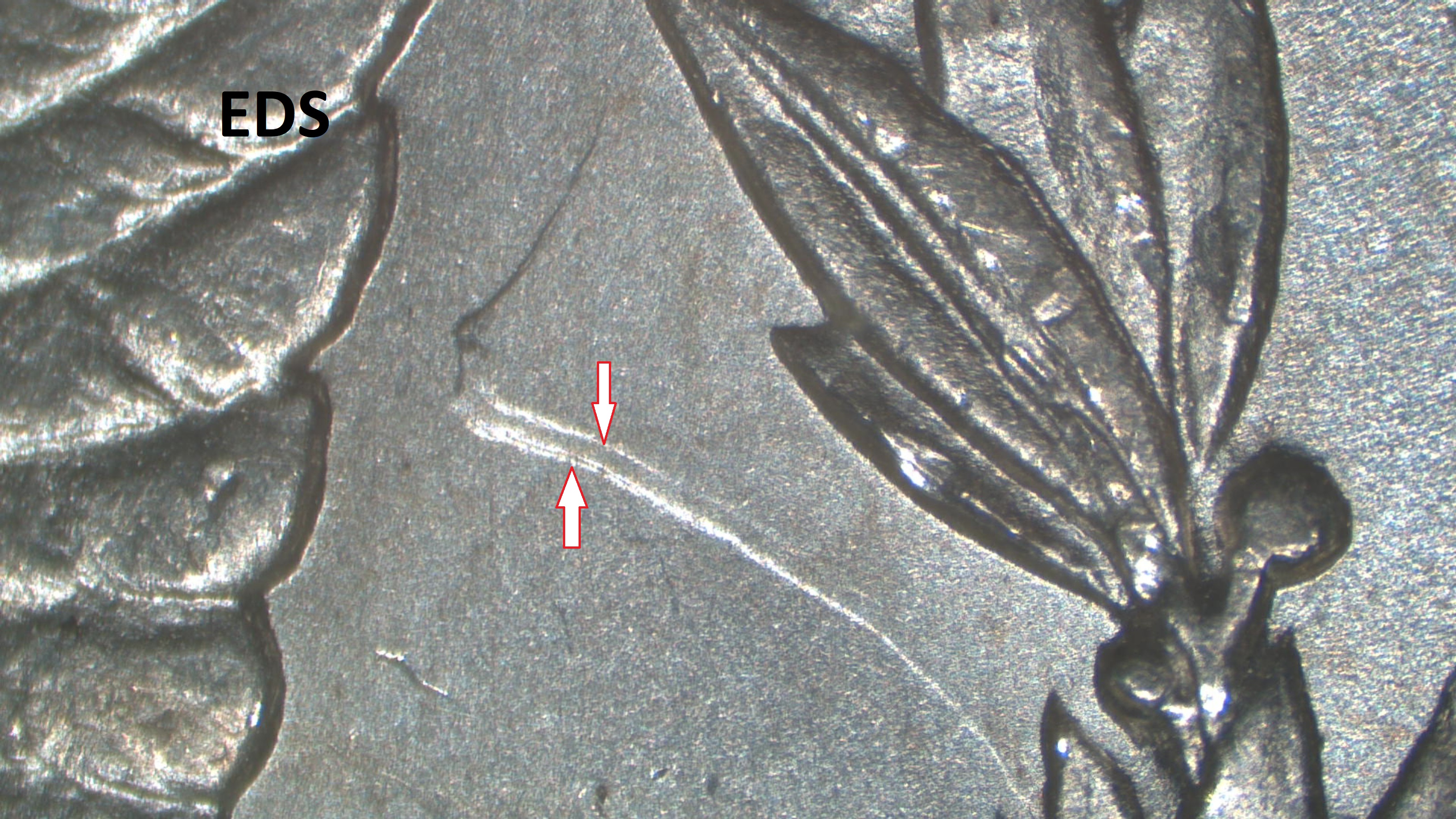 Image 25