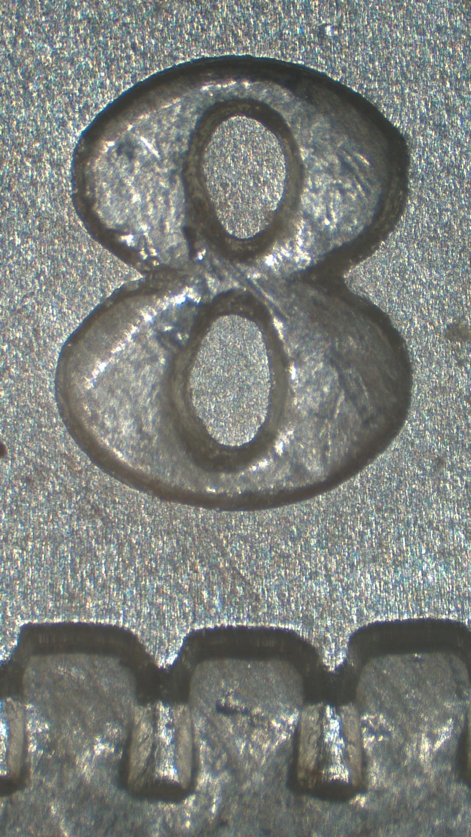 Image 14