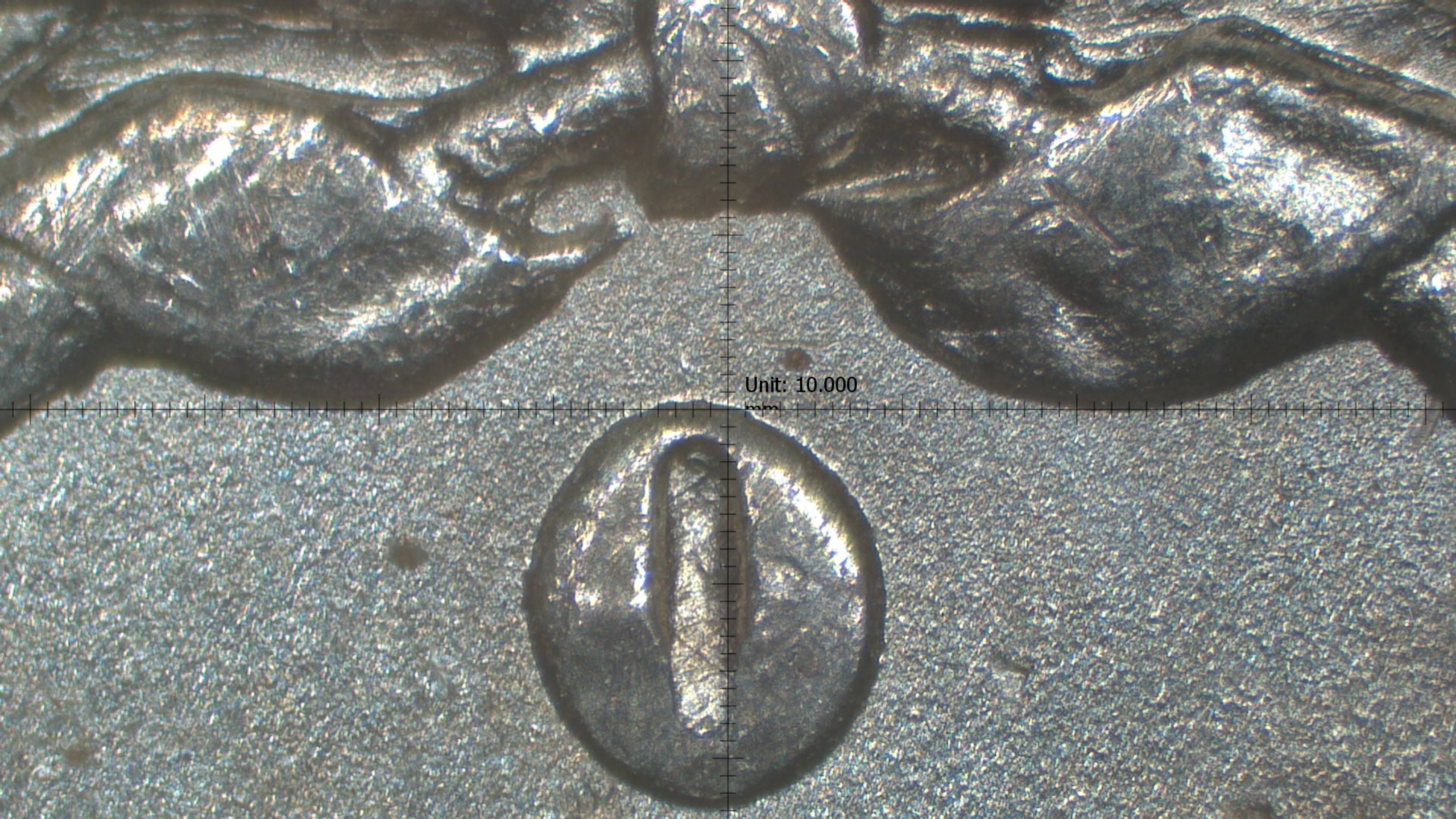 Image 17