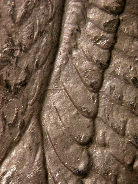 Image 13