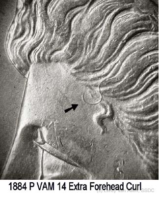 Image 14