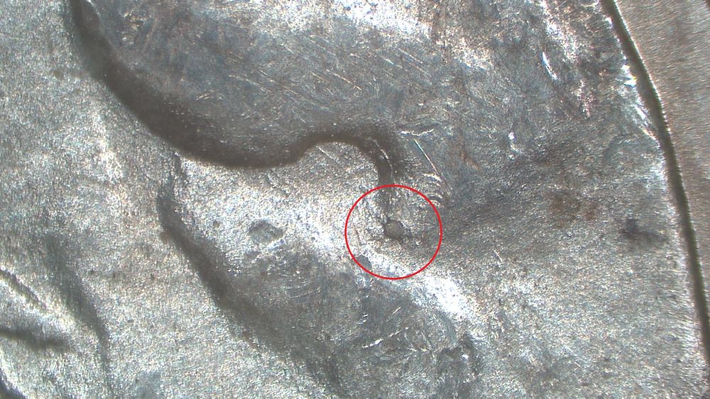 Image 13