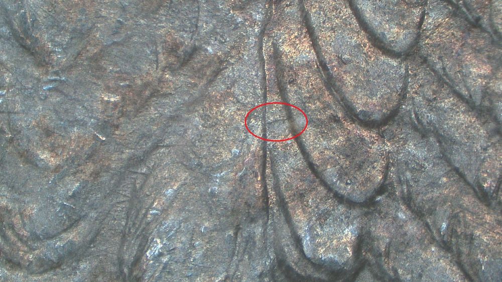 Image 8