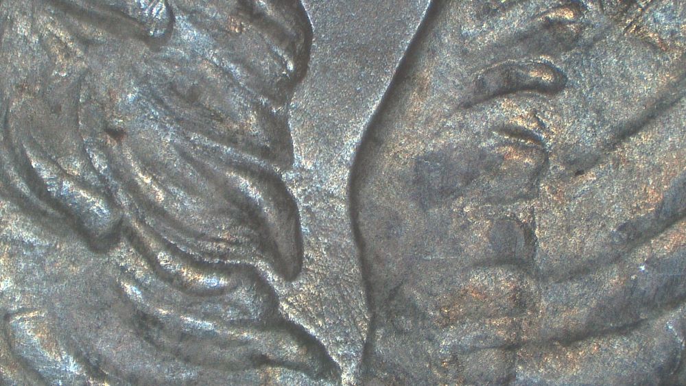 Image 13