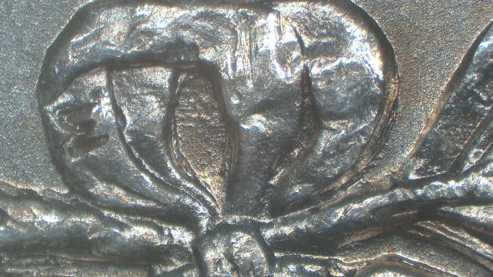 Image 16