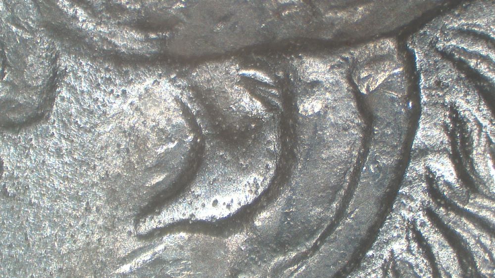 Image 15