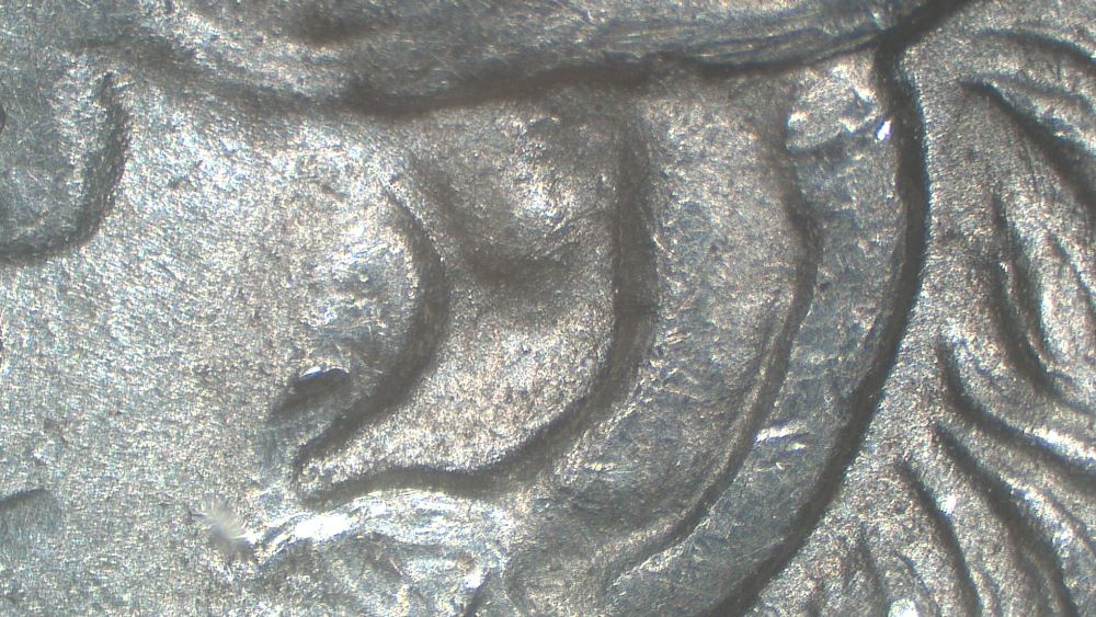 Image 14