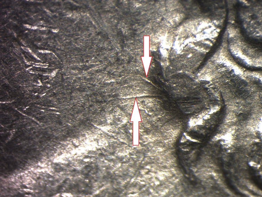 Image 15