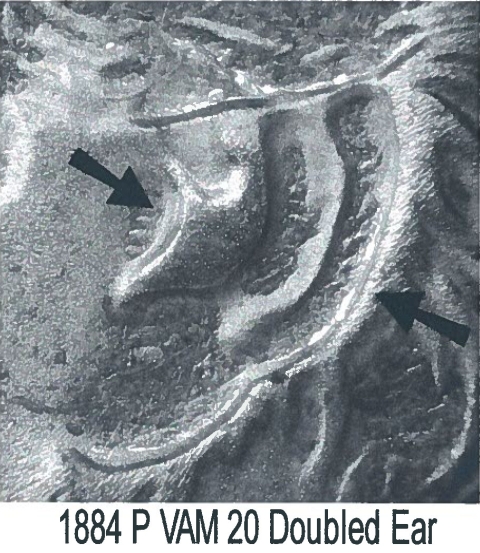 Image 14