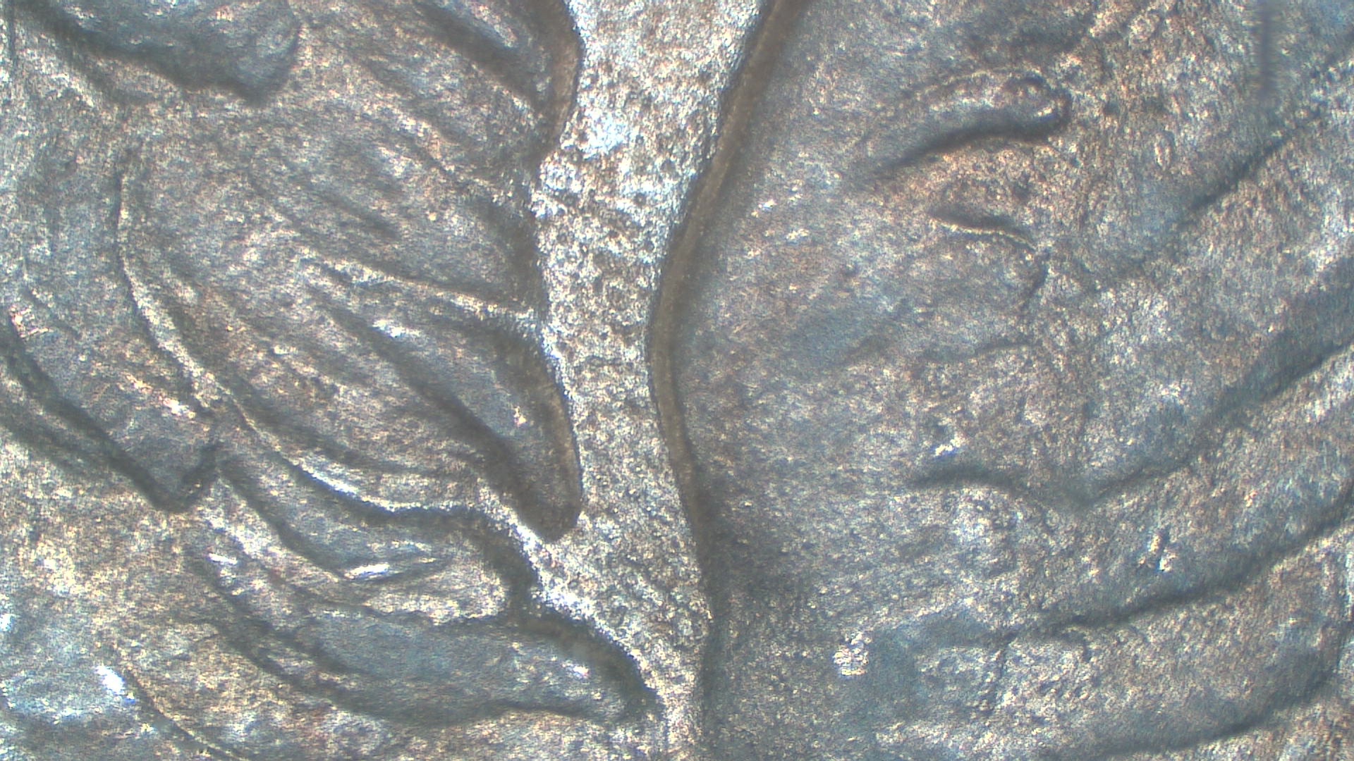 Image 13