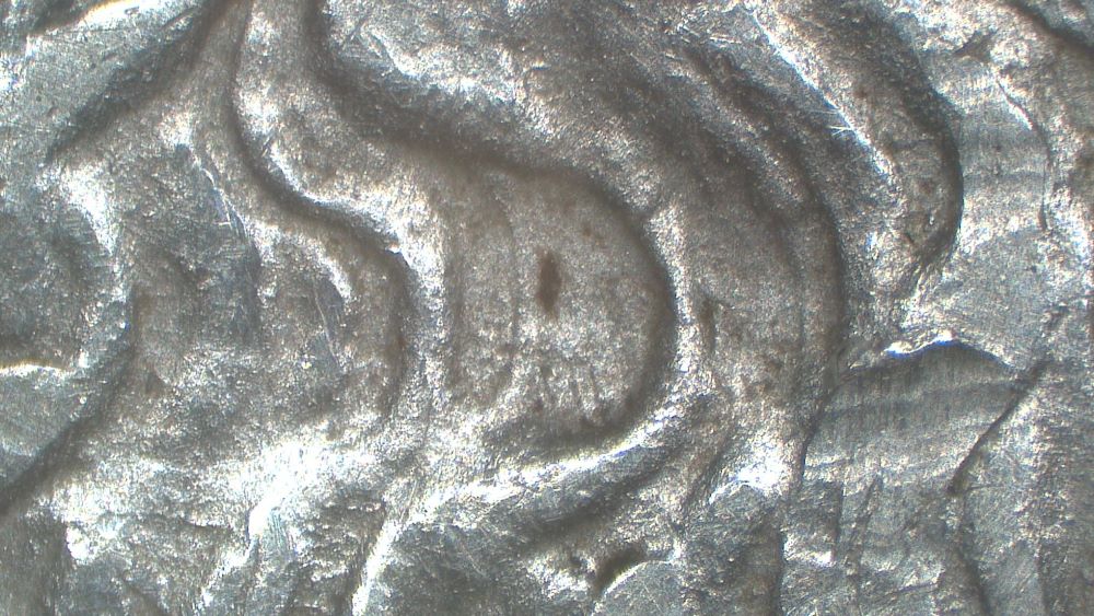 Image 16