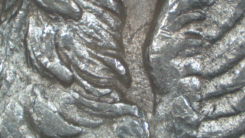Image 13