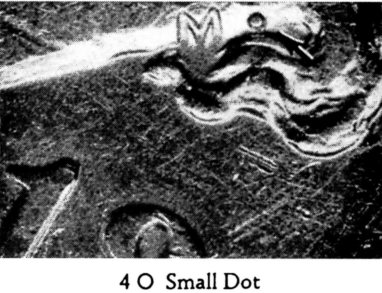 Image 15