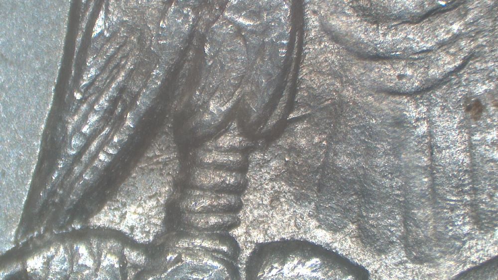 Image 17