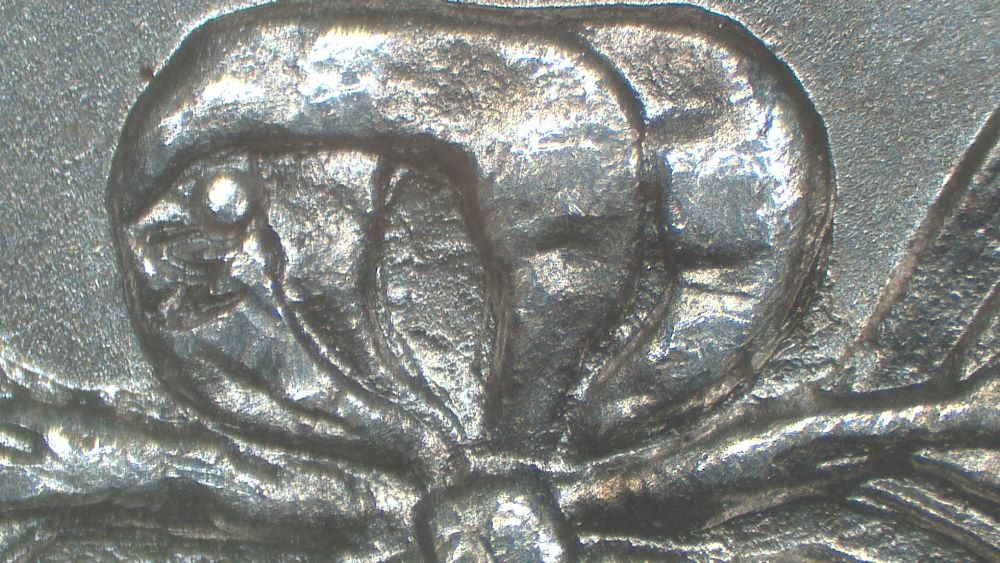 Image 16