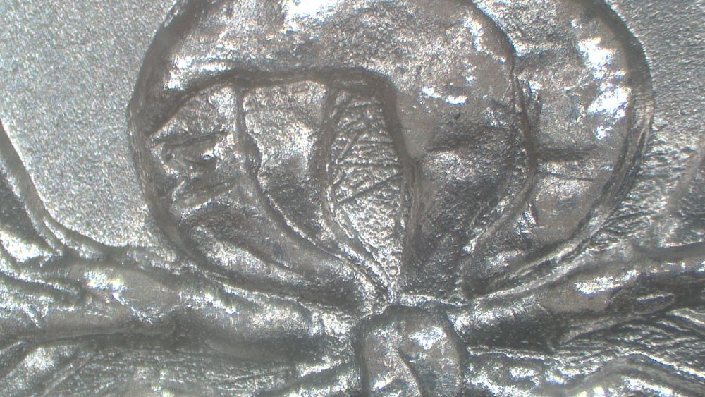 Image 10