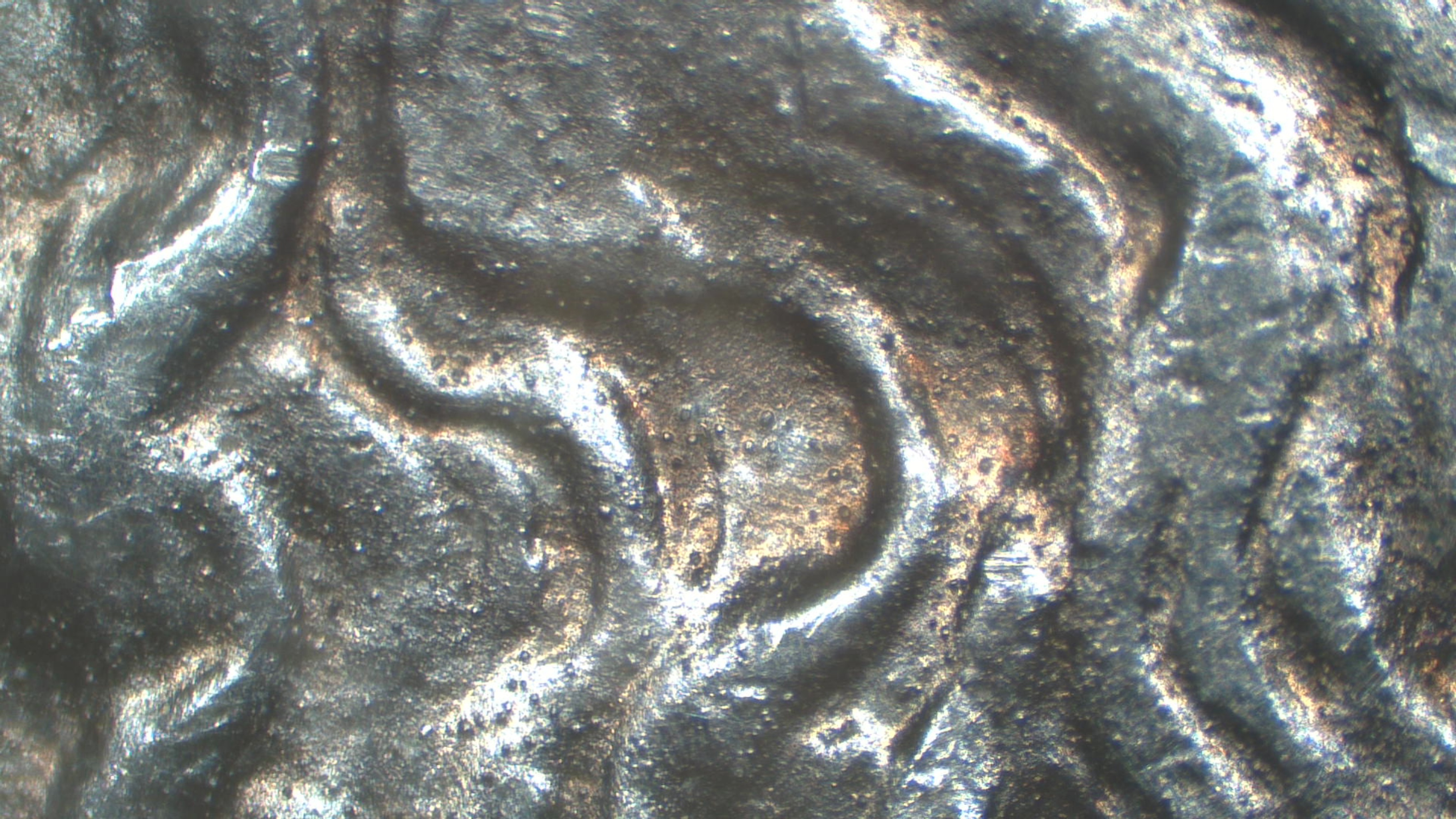 Image 26