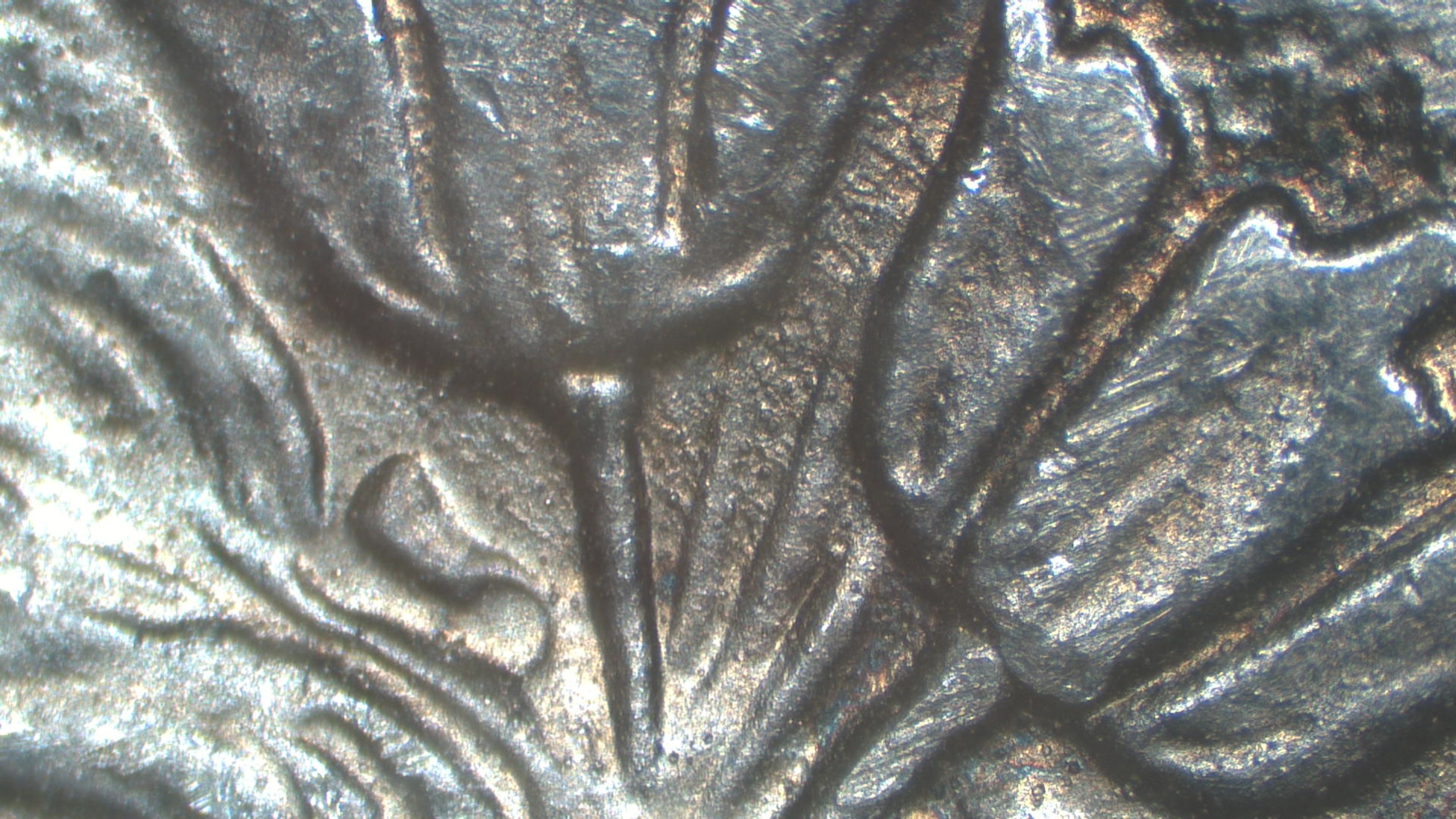 Image 37