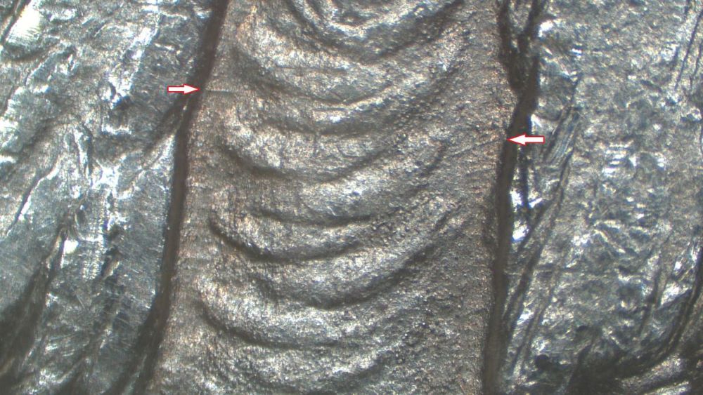 Image 48
