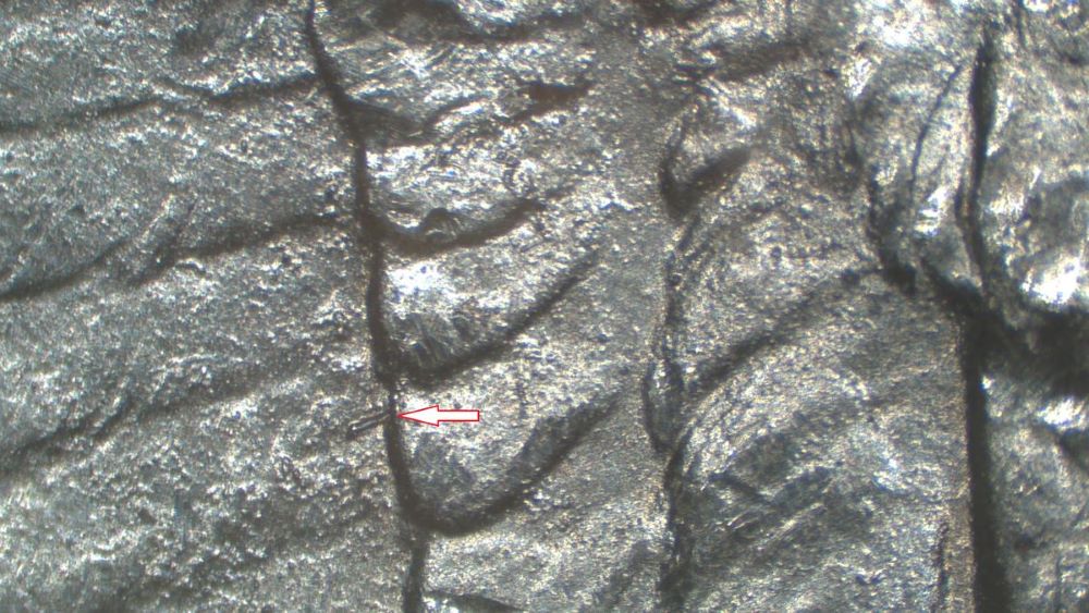 Image 17