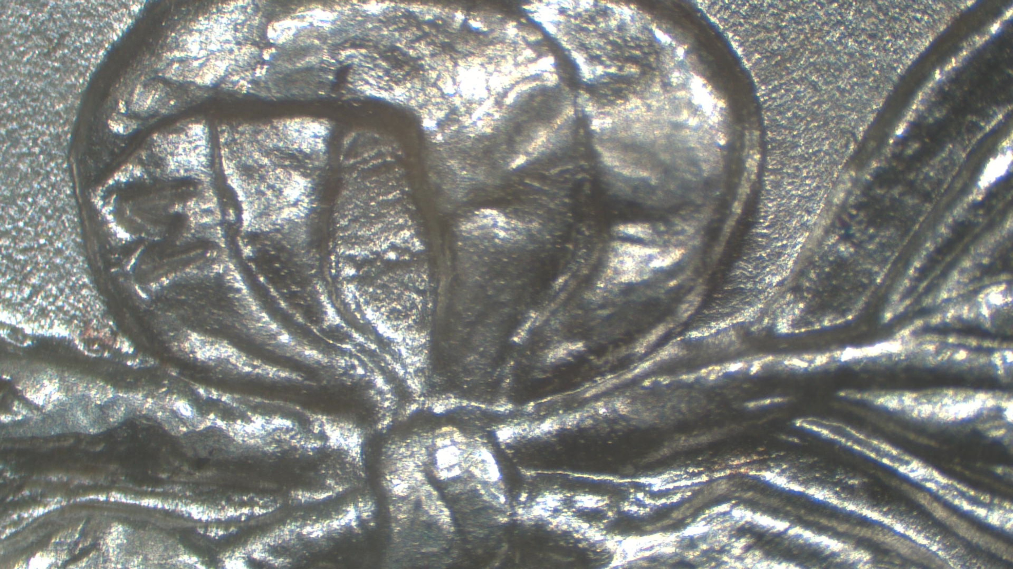 Image 29