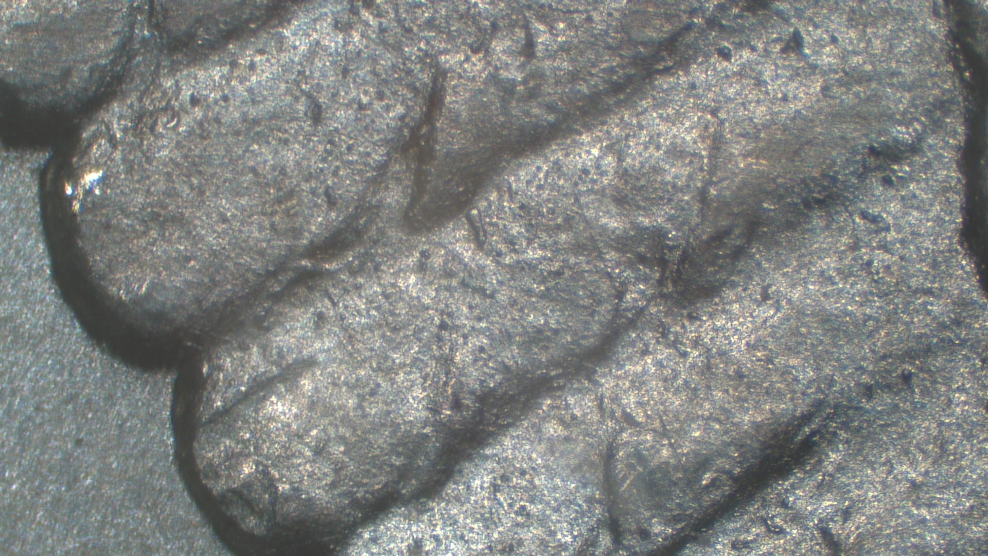Image 55