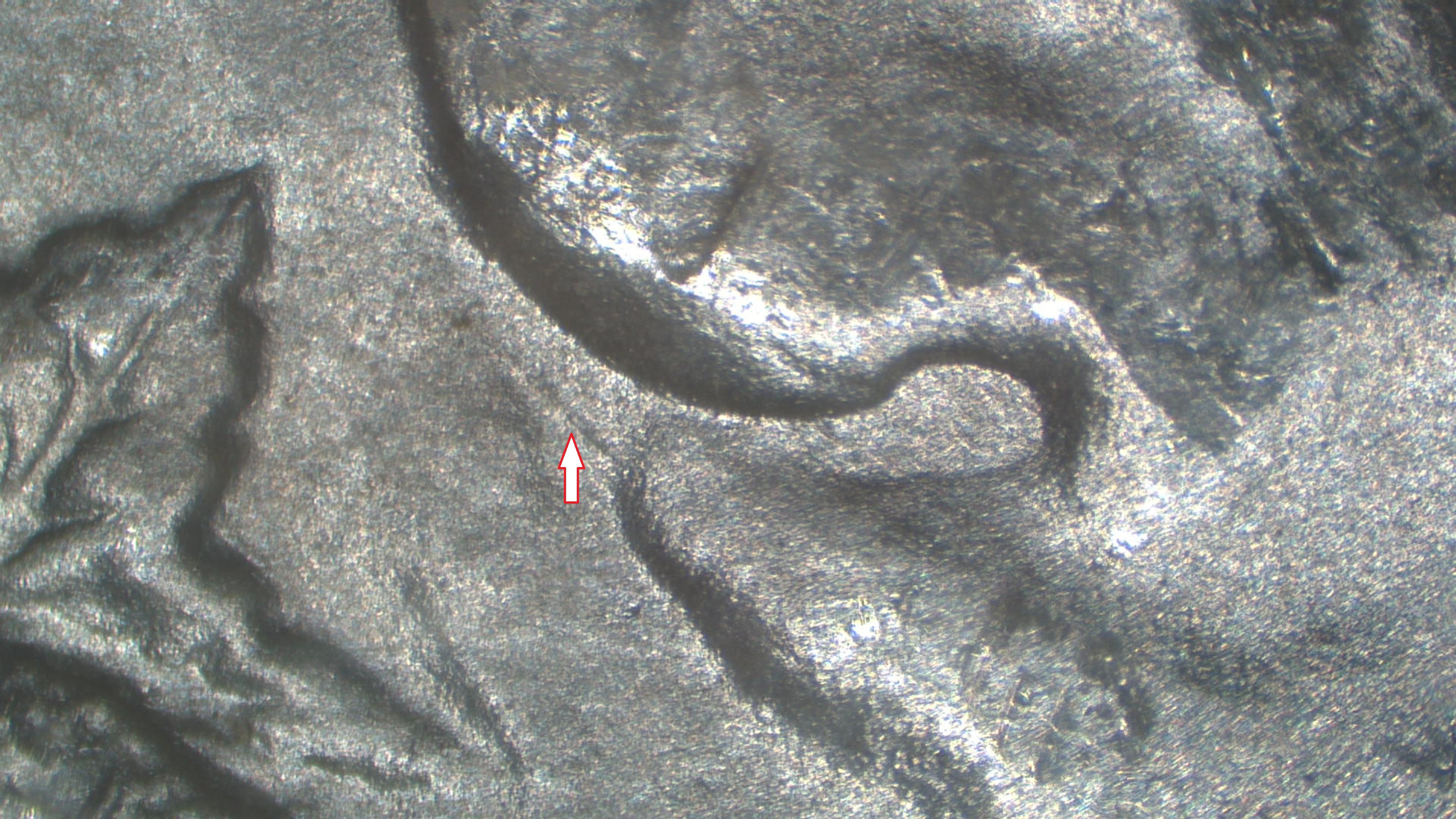 Image 28