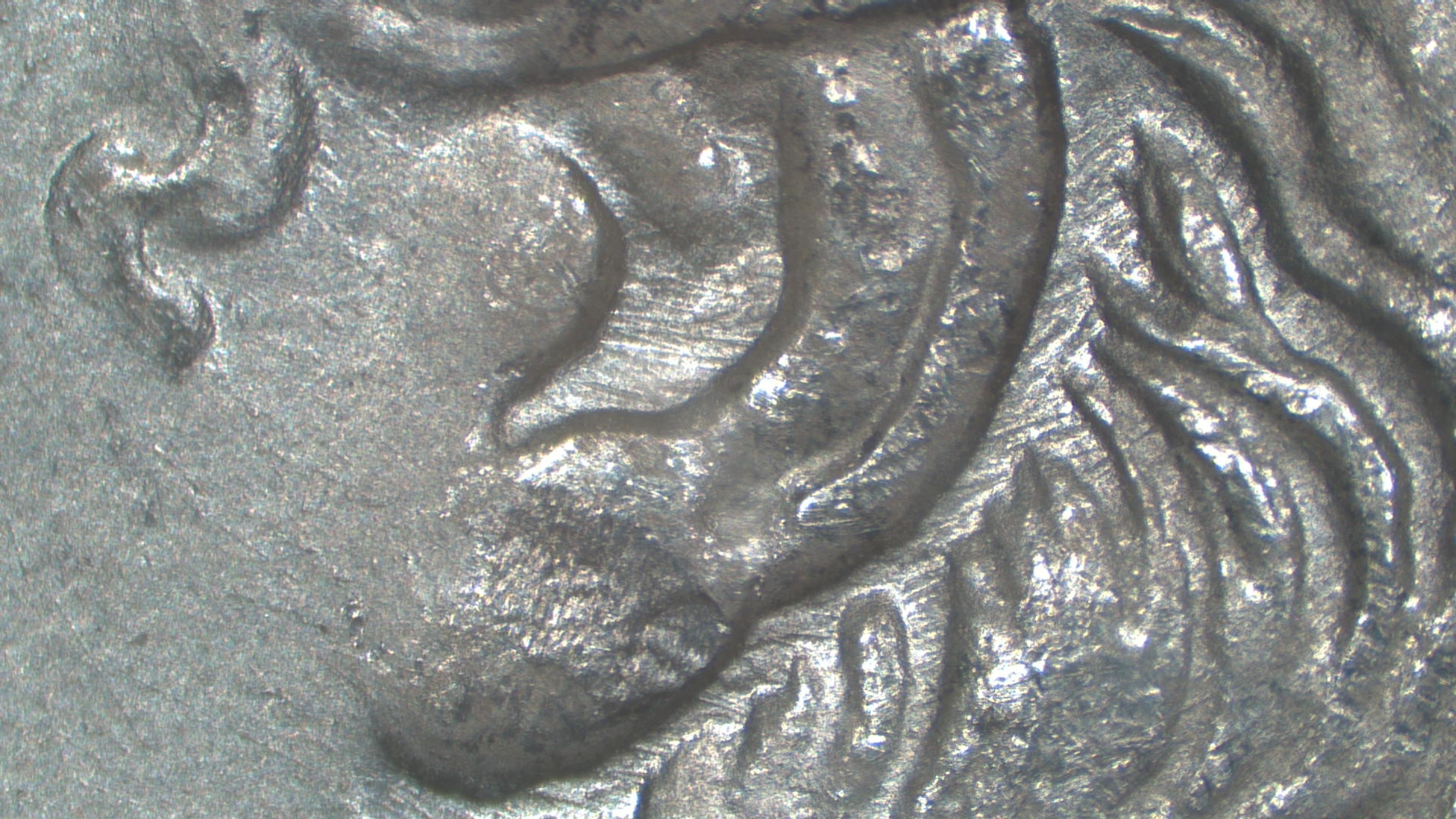 Image 25