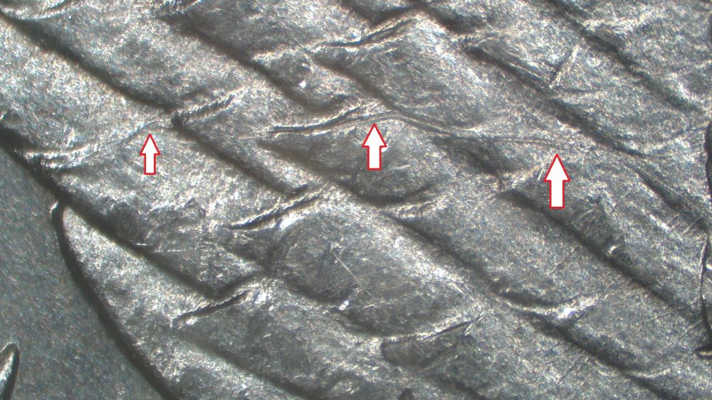Image 20