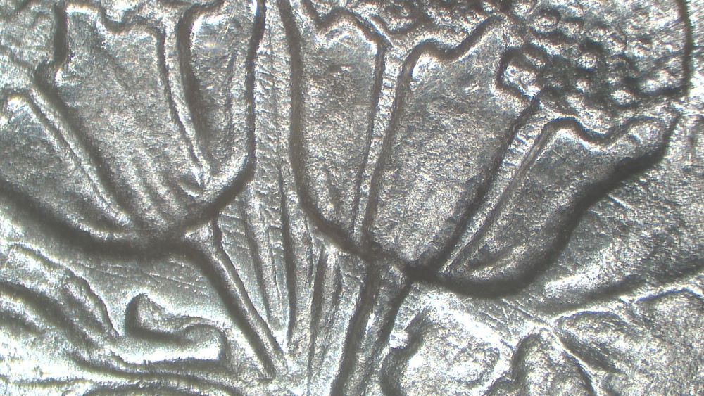 Image 23