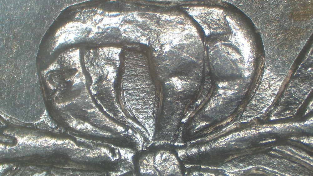 Image 9