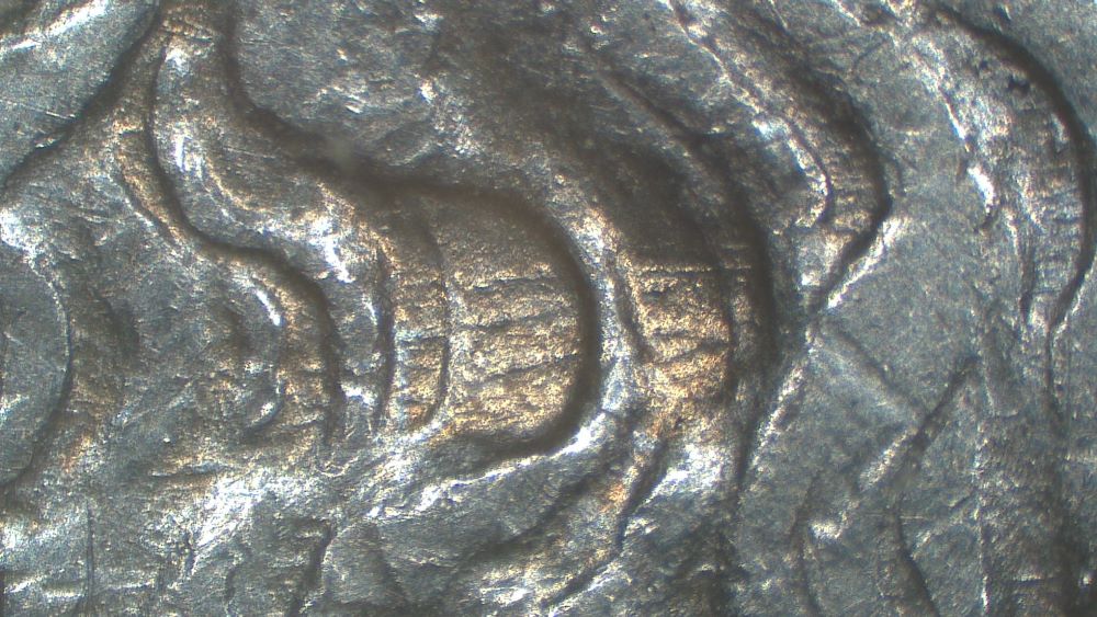 Image 9