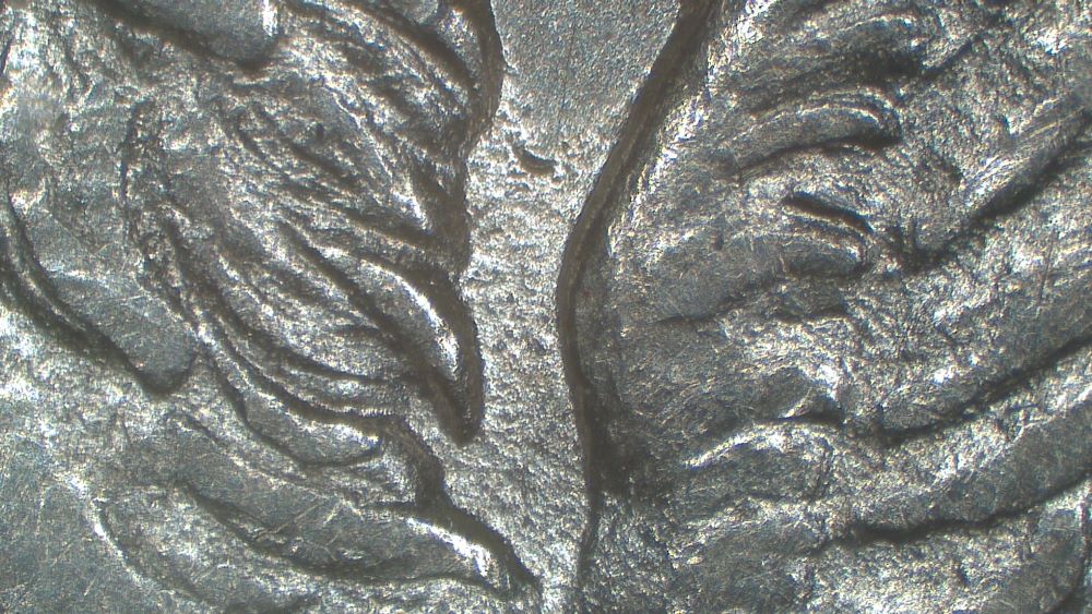 Image 14