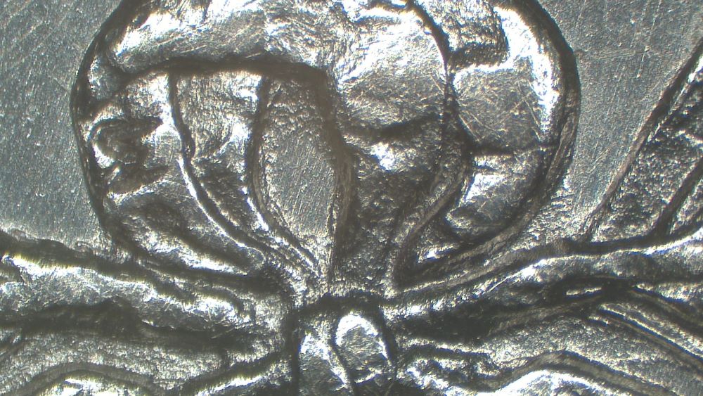 Image 13
