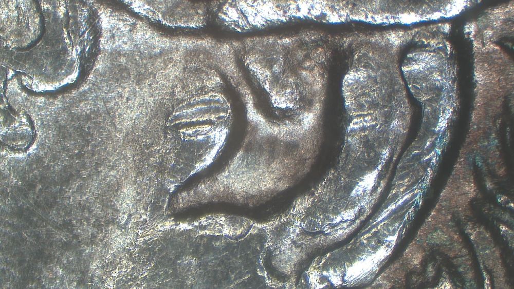 Image 20