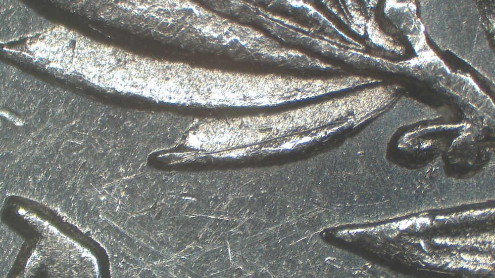 Image 19